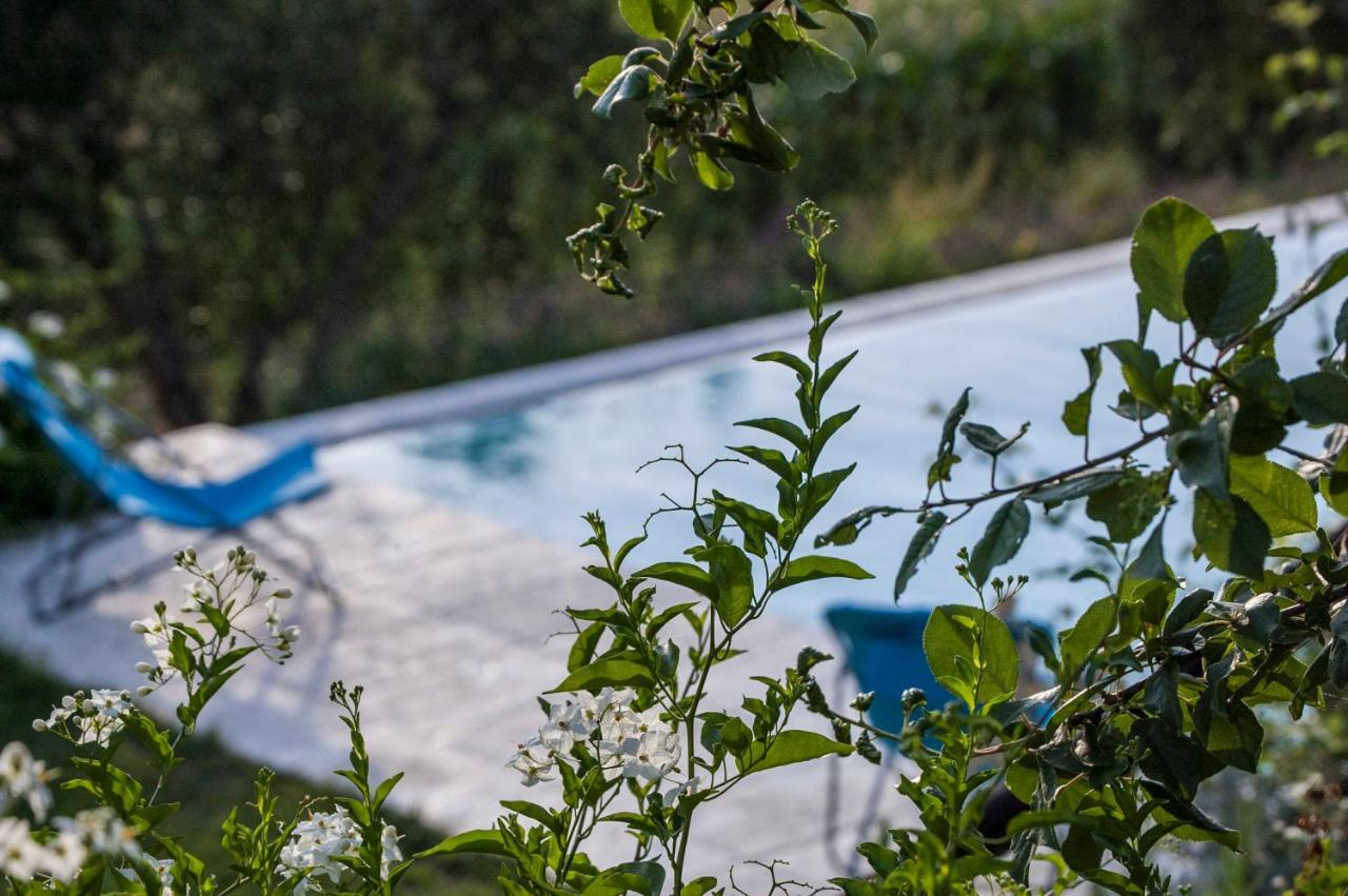 Tenuta San Rocco Концано Экстерьер фото