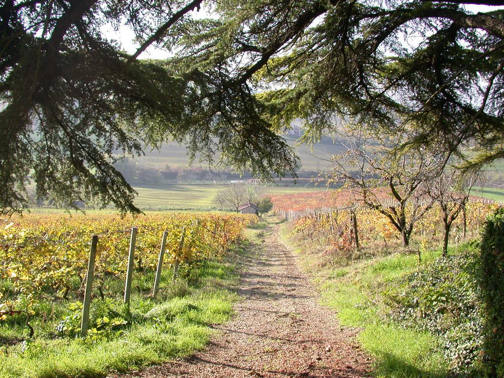 Tenuta San Rocco Концано Экстерьер фото