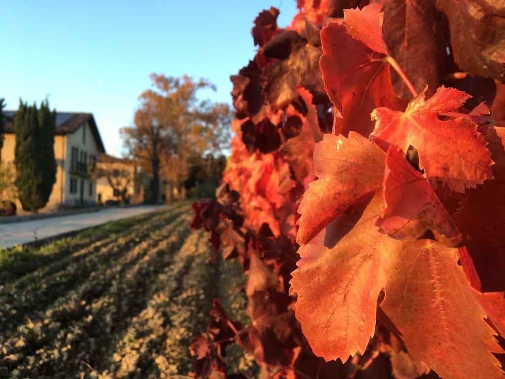 Tenuta San Rocco Концано Экстерьер фото
